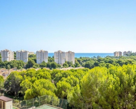 Orihuela Costa, 2 Bedrooms Bedrooms, 3 Rooms Rooms,1 BathroomBathrooms,Apartmán,Prodej,1166